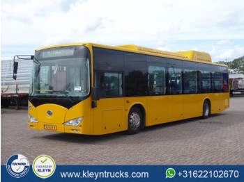 Miejski autobus BYD EBUS 12 GREENCITY full electric: zdjęcie 1