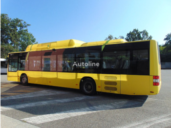Miejski autobus MAN A21: zdjęcie 4