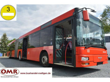 Miejski autobus MAN A23/Lion's City / 530 G / Citaro / Klima: zdjęcie 1