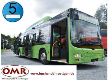Miejski autobus MAN A 21 / CNG / Erdgas / 530 / Citaro / A20: zdjęcie 1