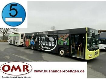 Miejski autobus MAN A 21 Lions City + Goldhofer / Göppel hänger: zdjęcie 1