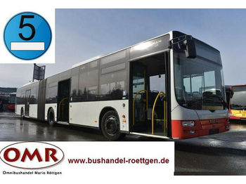 Miejski autobus MAN A 23 Lion's City / 530 G Citaro / EEV: zdjęcie 1