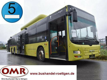 Miejski autobus MAN A 26 Lion´s City L / NL 313 CNG: zdjęcie 1