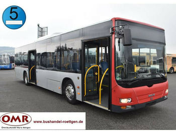 Miejski autobus MAN A 37 Lion´s City/A20/A21/530/Citaro/EEV: zdjęcie 1