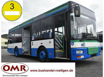 Miejski autobus MAN A 76 / A 47 / A 66 / O 530 / Midi: zdjęcie 1
