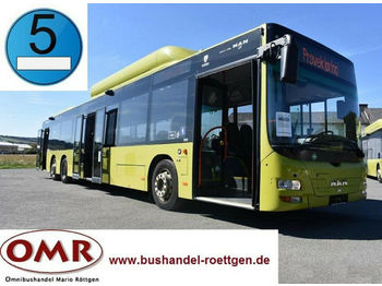 Miejski autobus MAN MAN A 26 Lion´s City L / NL 313 CNG: zdjęcie 1