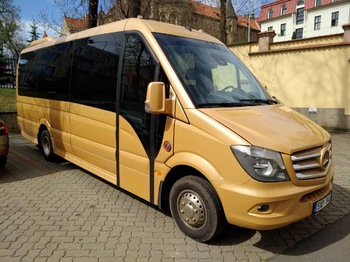 Minibus, Mikrobus MERCEDES-BENZ SPRINTER 519CDI: zdjęcie 1
