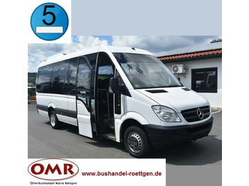 Minibus, Mikrobus Mercedes-Benz 516 CDI Sprinter/Crafter/Master/Klima/Euro 5: zdjęcie 1
