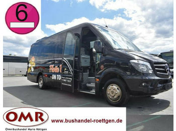 Minibus, Mikrobus Mercedes-Benz 519 CDI / Sprinter / THT-Ausbau: zdjęcie 1