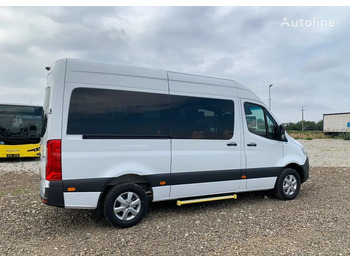 Minibus, Mikrobus Mercedes-Benz Sprinter 317: zdjęcie 5