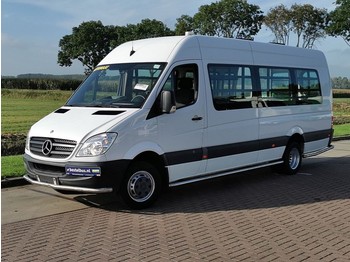Minibus, Mikrobus Mercedes-Benz Sprinter 513 CDI maxi opstapper: zdjęcie 1