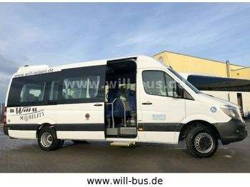 Minibus, Mikrobus Mercedes-Benz Sprinter 516 Mobility Klima LIFT 23-Sitze  TELMA: zdjęcie 1