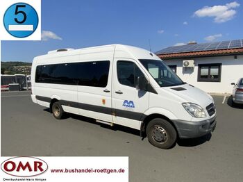 Minibus, Mikrobus Mercedes-Benz Sprinter Transfer 55/ Euro 5/ Original-KM: zdjęcie 1