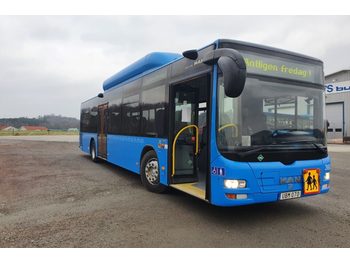  MAN Lions City A21 CNG Euro 6 - miejski autobus