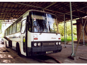 IKARUS 250.59 - Turystyczny autobus