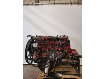 Silnik DAF Occ motor daf ws295: zdjęcie 1