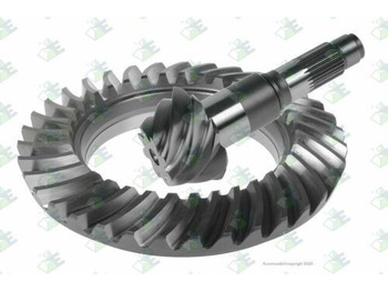  AM Gears 81078 Masiero Tellerrad Kegel 904.350.0039 602.350.2539 - Dyferencjał