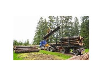 Przyczepa leśna Scania DOLL M134 kombizug do drewna dłużycy lasu stosu epsilon loglift doll huttner volvo: zdjęcie 1