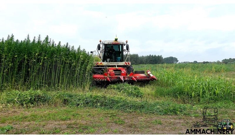 Kombajn do kukurydzy dla transportowania żywności Special hemp harvest header HEMPER: zdjęcie 8
