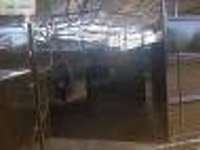 Przyczepa do przewozu zwierząt Dinapolis przyczepa do przewozu bydła TRV 760: zdjęcie 2