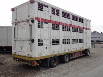 Przyczepa zamknięte nadwozie dla transportowania zwierząt KABA 3 Stock Spindel    40km/H: zdjęcie 1