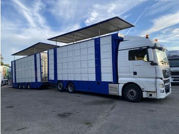 MAN TGX 26.480 6X2 EURO 6 - LIVESTOCK + MOVING FLOOR  - Ciężarówka do przewozu zwierząt