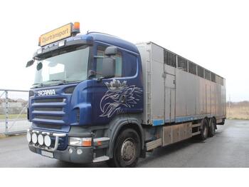 Scania R480 LB 6X2*4 HNB  - ciężarówka do przewozu zwierząt