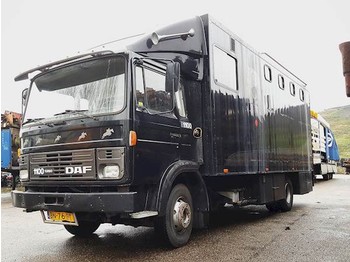 Ciężarówka do przewozu zwierząt DAF 1100 TURBO: zdjęcie 1