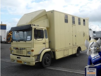 Ciężarówka do przewozu zwierząt DAF 1300 TURBO ATI LIVING + 3 HORSE: zdjęcie 1