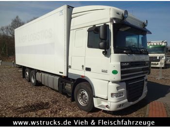 Samochód ciężarowy chłodnia DAF 4  x   XF 105/410 Schmitz   Rohrbahn Carrier: zdjęcie 1