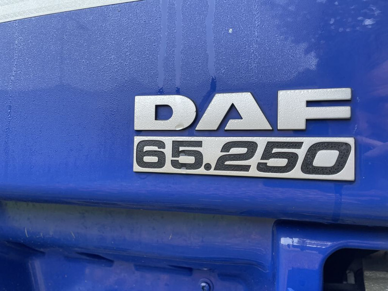 Ciężarówka kontenerowiec/ System wymienny DAF CF 65 Verhuiswagen 20/25 foot ! origineel 220.000 km: zdjęcie 16