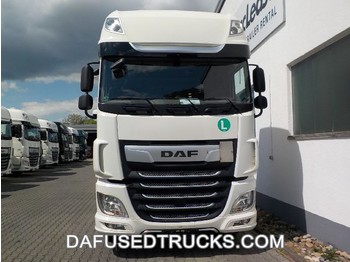 Ciężarówka kontenerowiec/ System wymienny DAF FAR XF480: zdjęcie 1