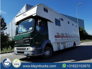 Ciężarówka do przewozu zwierząt DAF LF 55.220 horse transport,low: zdjęcie 1