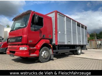 Ciężarówka do przewozu zwierząt DAF LF 55 Einstock KABA: zdjęcie 1