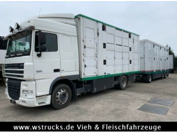 Ciężarówka do przewozu zwierząt DAF XF 105/410 SC Menke 3 Stock Vollalu Komplett: zdjęcie 1