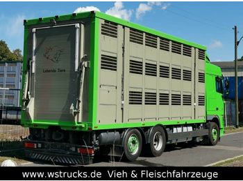 Ciężarówka do przewozu zwierząt DAF  XF 105/460 SC Menke 3 Stock Hubdach: zdjęcie 1