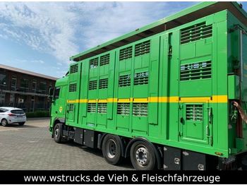 Ciężarówka do przewozu zwierząt DAF XF 105/460 SC Menke 3 Stock Hubdach: zdjęcie 1