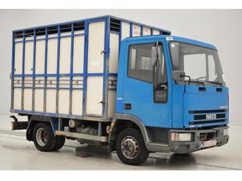 Ciężarówka do przewozu zwierząt Iveco 65E14: zdjęcie 3