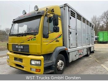 Ciężarówka do przewozu zwierząt MAN 15.220 Menke Einstock: zdjęcie 1