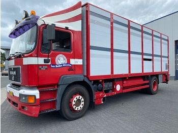 Nowy Ciężarówka do przewozu zwierząt MAN 19 FL 4x2, Dobble Stock, Waage, TUV: 10-2020, Wasser Tank, TOP Zusatnd !!!: zdjęcie 1