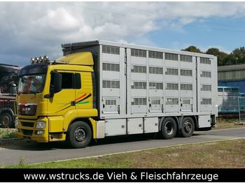 Ciężarówka do przewozu zwierząt MAN 26.440 LX Menke 4 Stock Ladelift Hubdach: zdjęcie 1