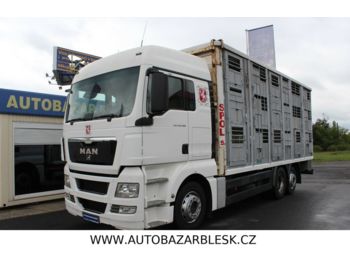 Ciężarówka do przewozu zwierząt MAN MAN TGX 26.400 6x2 MANUÁL RETARDÉR EURO V: zdjęcie 1