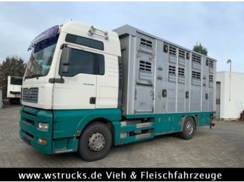 Ciężarówka do przewozu zwierząt MAN TGA 18.480 XL mit Finkl 3 Stock: zdjęcie 1