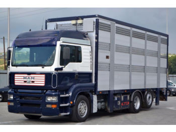 Ciężarówka do przewozu zwierząt MAN TGA 26.460 Tiertransportwagen 7,20 m Top Zustand: zdjęcie 1