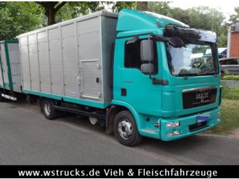 Ciężarówka do przewozu zwierząt MAN TGL 10.250 Menke Einstock: zdjęcie 1