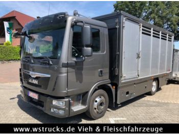Ciężarówka do przewozu zwierząt dla transportowania zwierząt MAN TGL 8.250 BL mit Finkl Einstock: zdjęcie 1