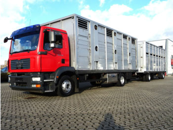 Ciężarówka do przewozu zwierząt MAN TGM 15.280/ 2-Stock / Manual / Euro 4: zdjęcie 1