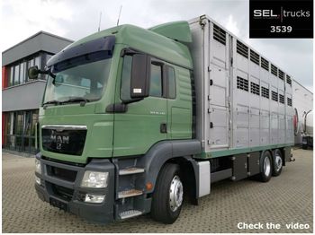 Ciężarówka do przewozu zwierząt MAN TGS 26.440 / 3 Stock  Menke Janzen/ Lenkachse: zdjęcie 1