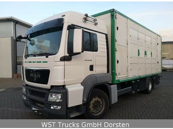 Ciężarówka do przewozu zwierząt MAN TGX 18.480 LX Menke 2 Stock Vollalu: zdjęcie 1