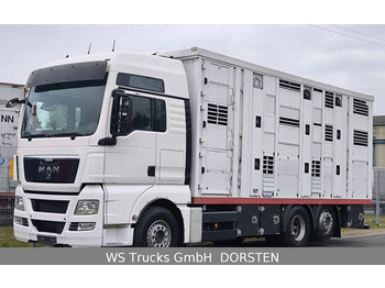 MAN TGX 26.440 FG 6x2  Menke Janzen 3 Stock  - Ciężarówka do przewozu zwierząt: zdjęcie 1